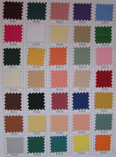 poly visa color-1