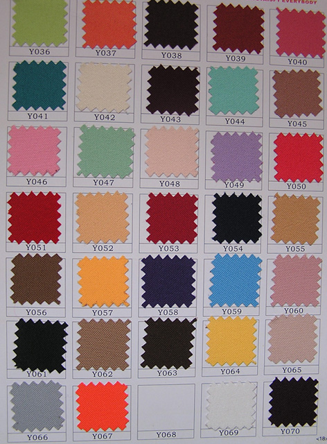 poly visa color-2