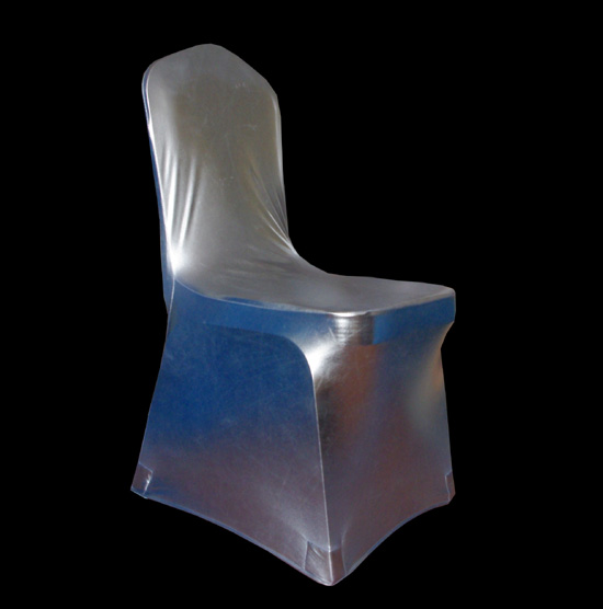 sparkle lycra-silver