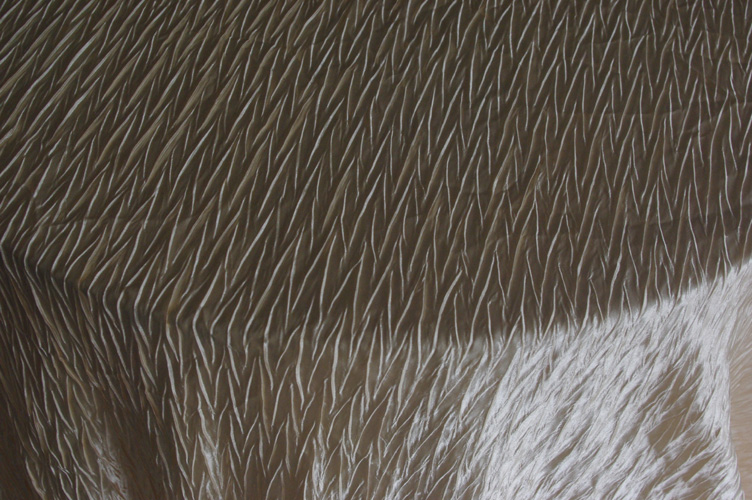 crinkle overlay