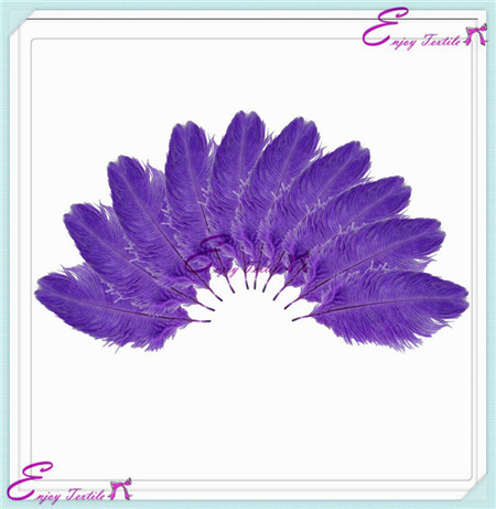 ostrich feathers series