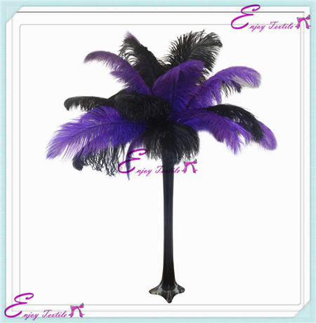 ostrich feathers series